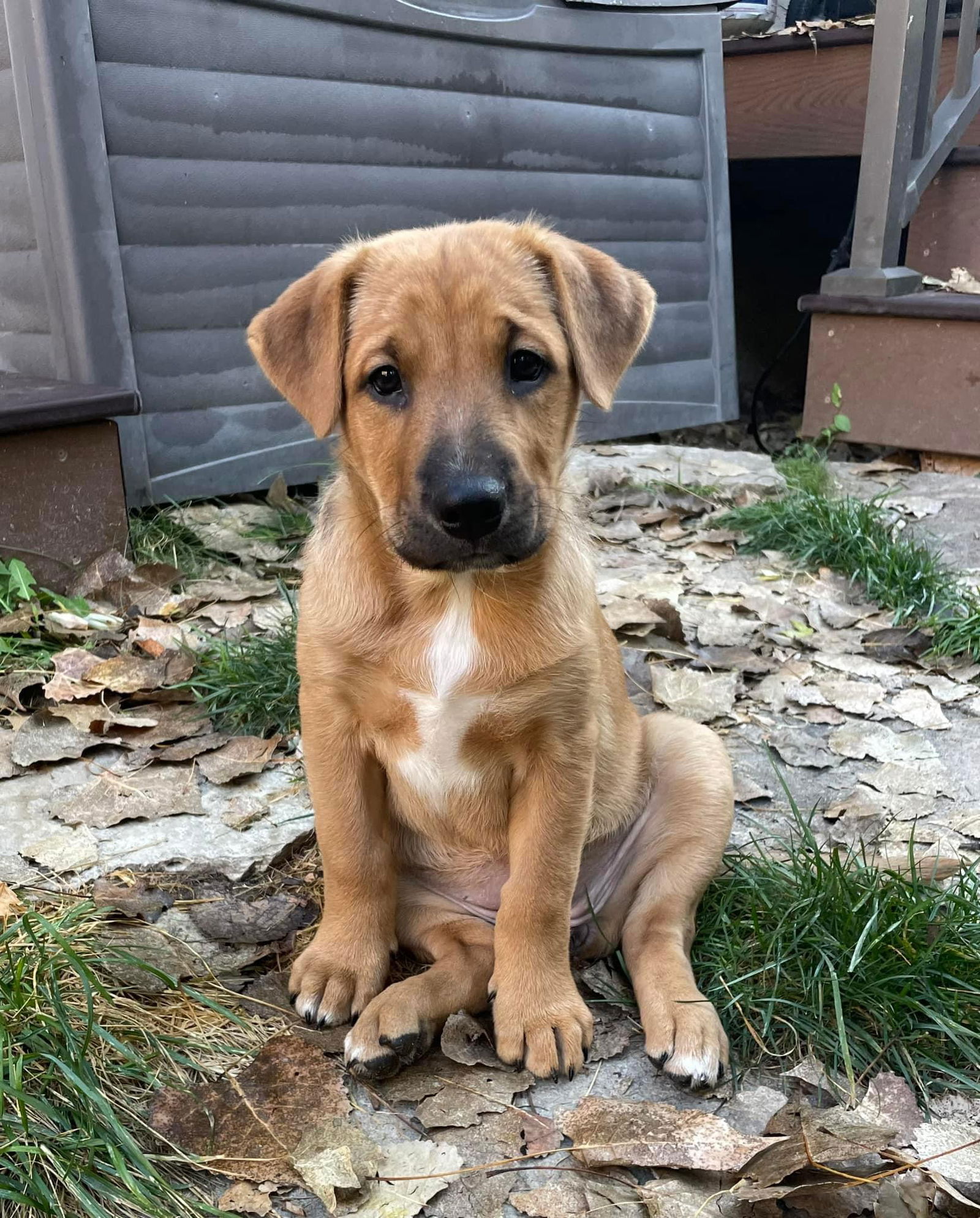 Sabine