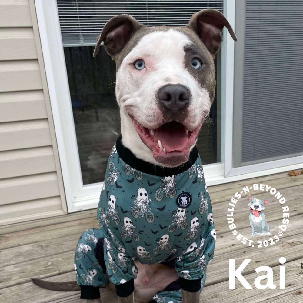 Kai
