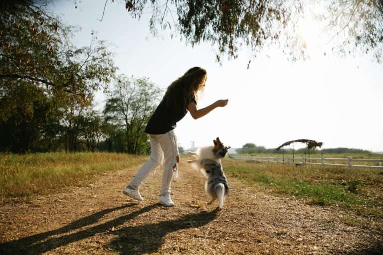 Grieving Owner Whose “Soul Dog” Passed Shares What She Wishes She Knew Before Getting a New Puppy 
