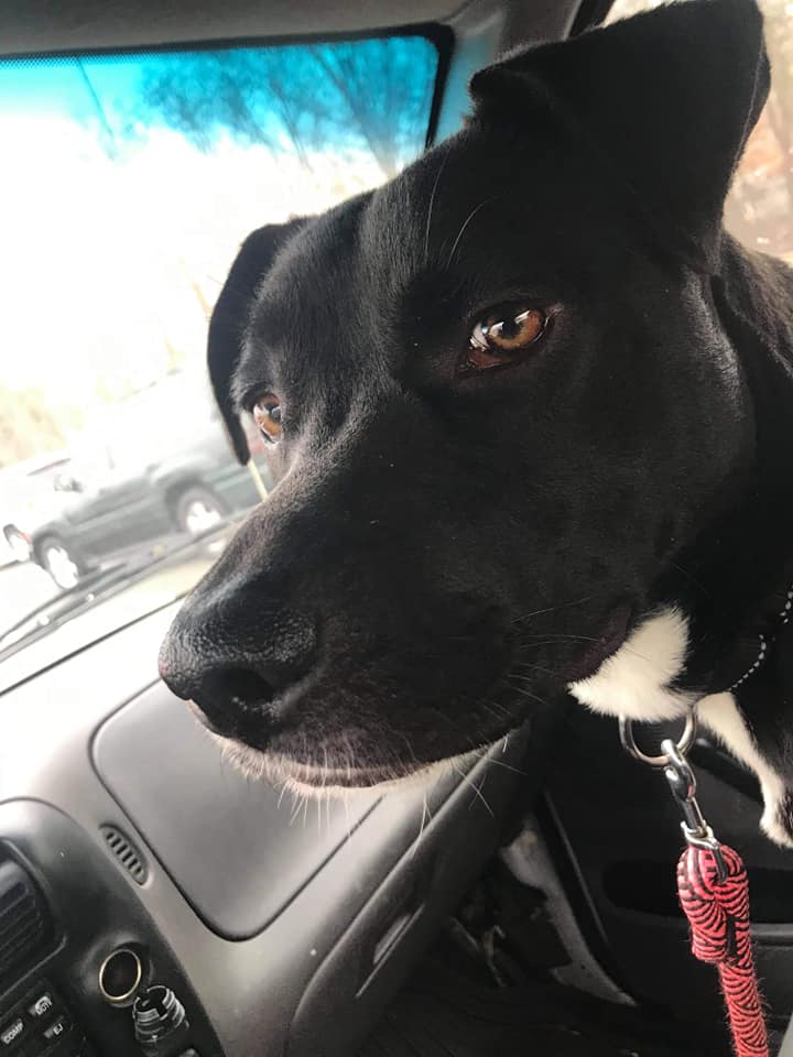 OREO