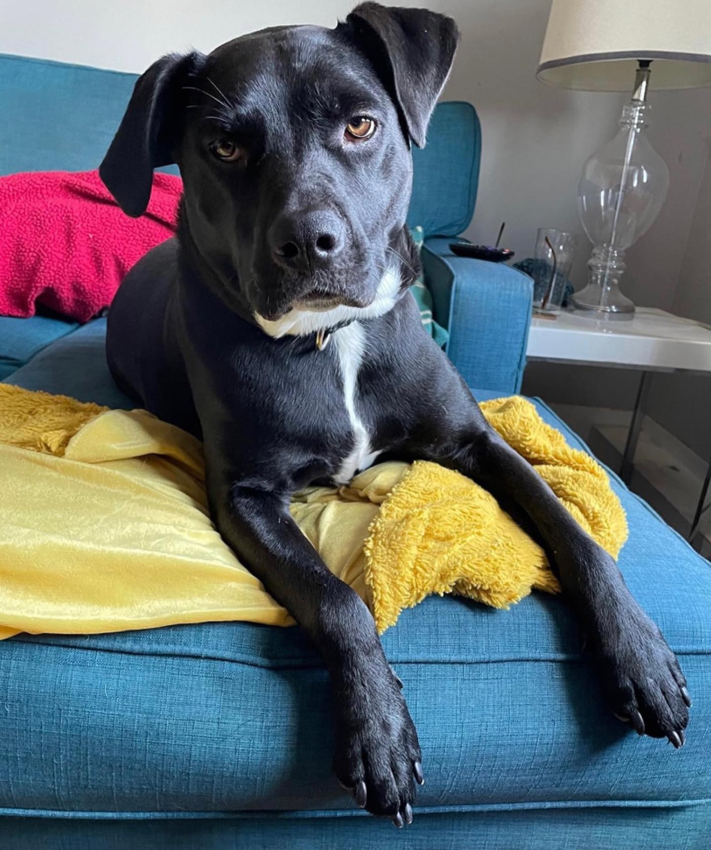 OREO