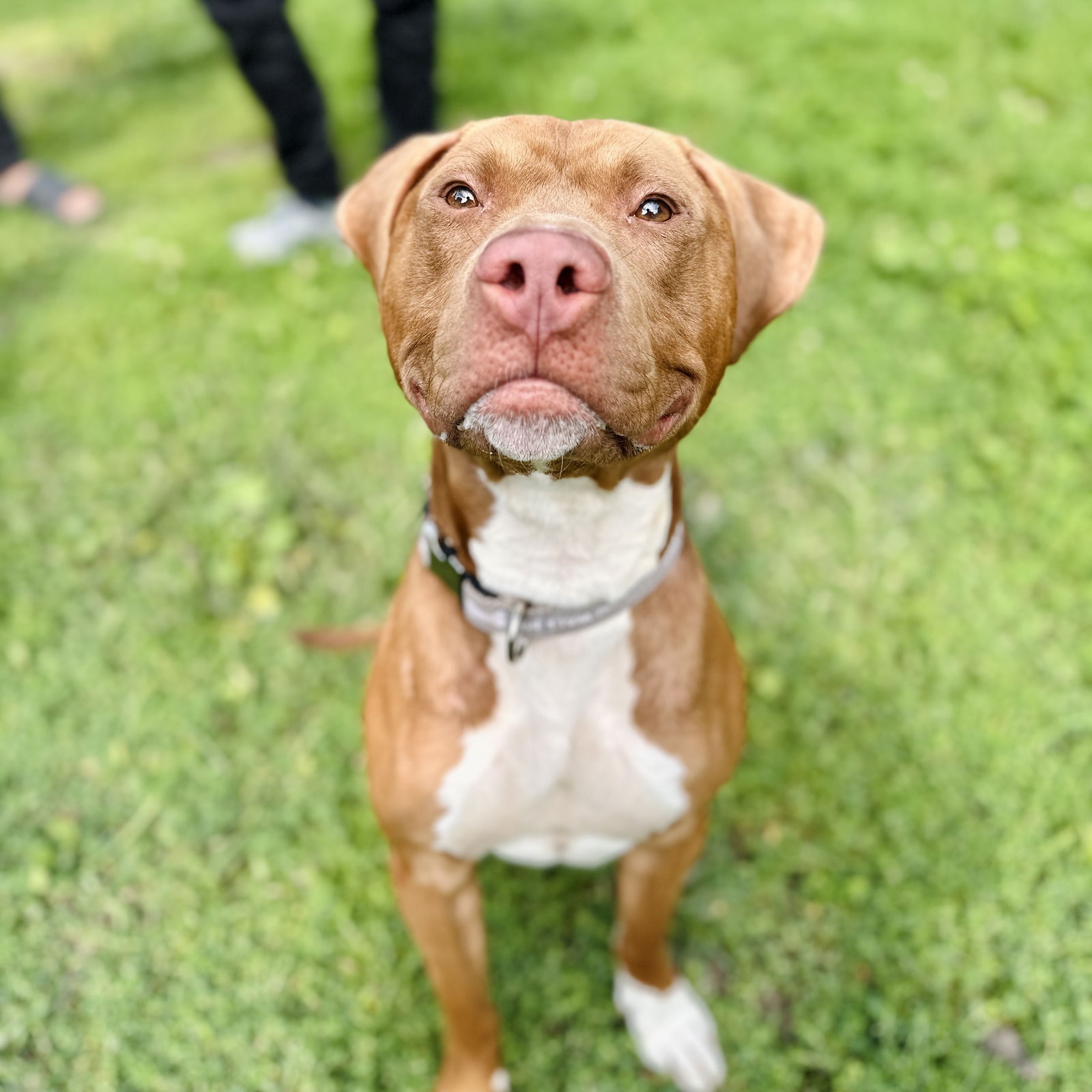 Ezra