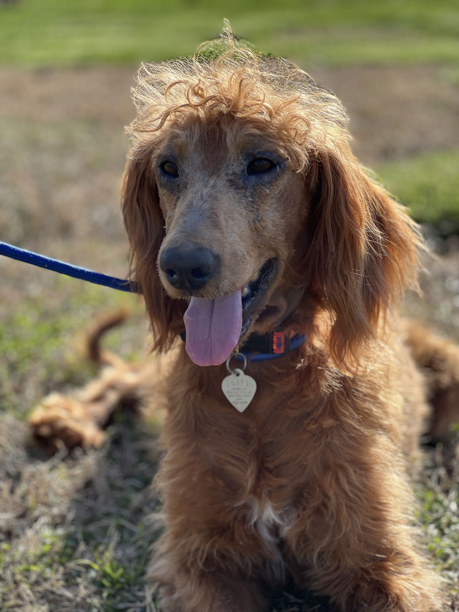 Hershey Nov 23 - A Special Sebaceous Adenitis Boy