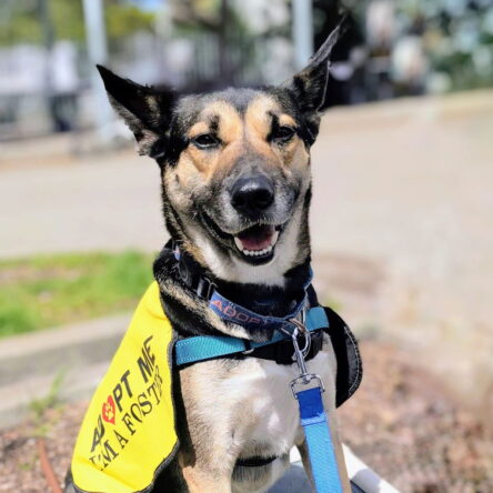 Milo