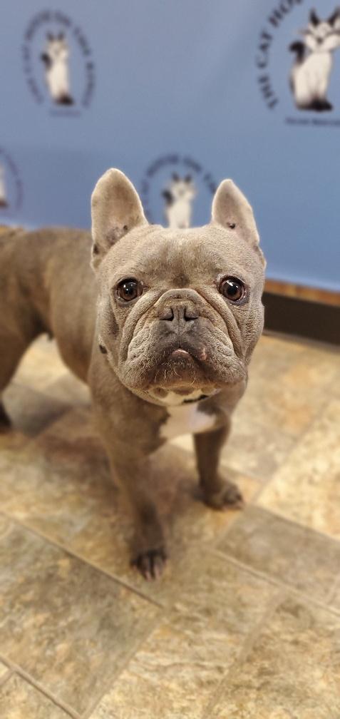Lola