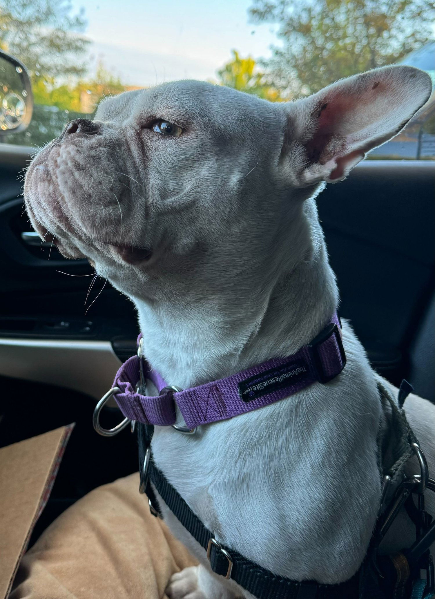 Matilda