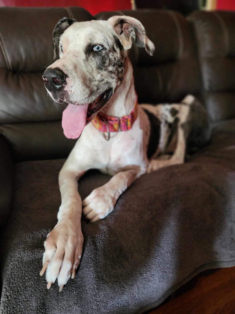 Pearl