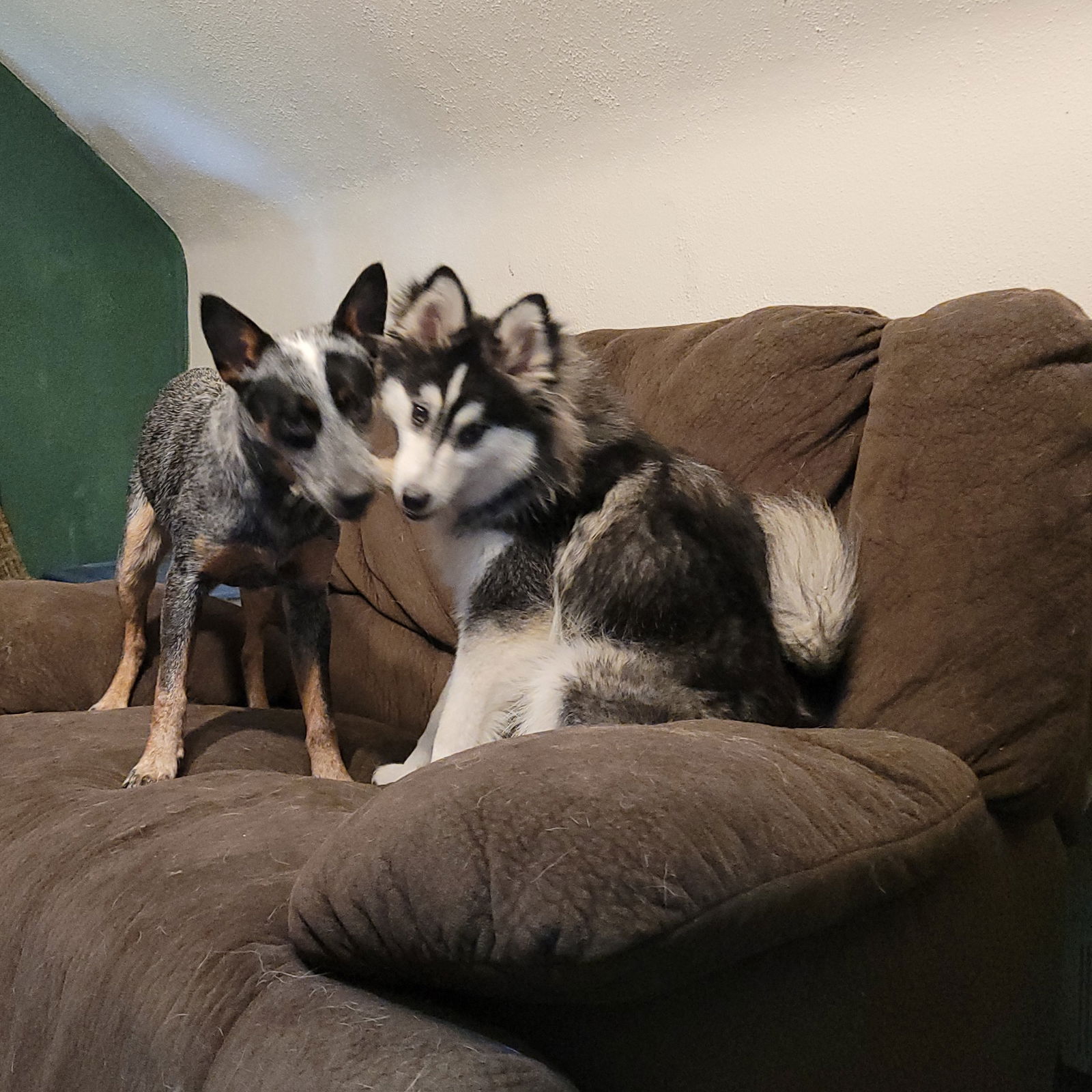 Kai