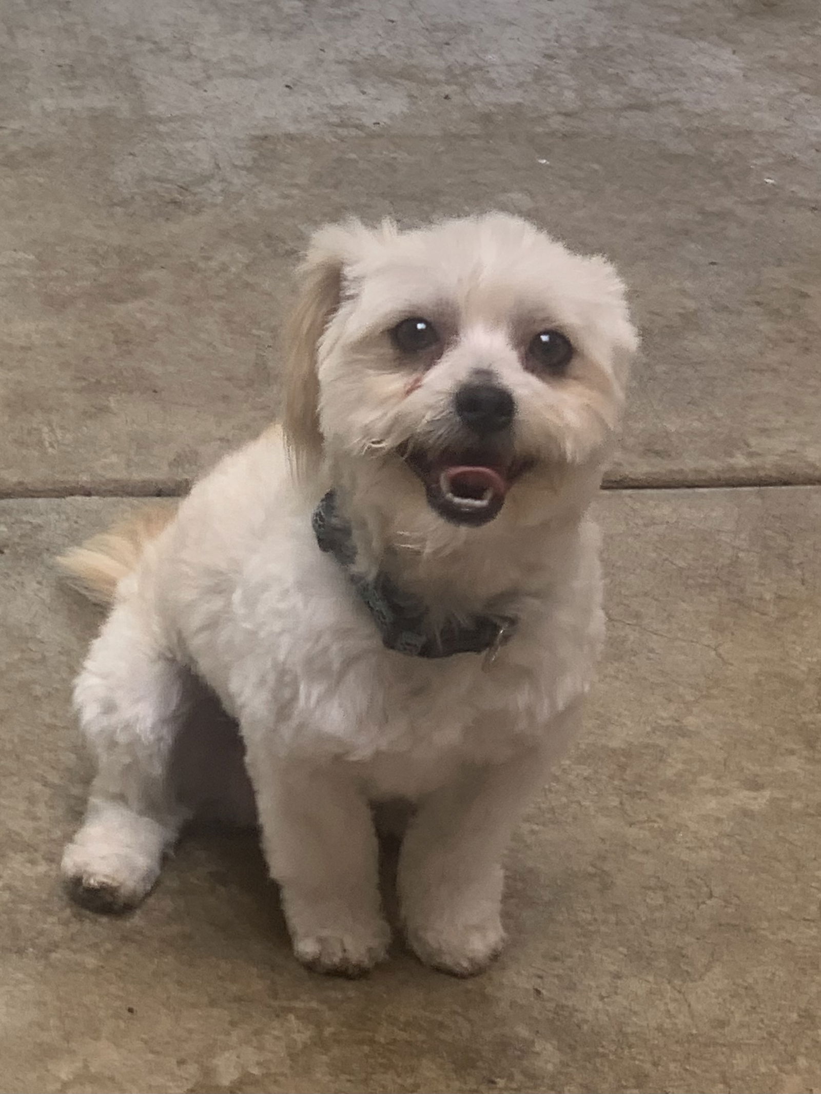 Malcolm