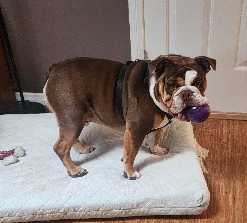 Wilbur