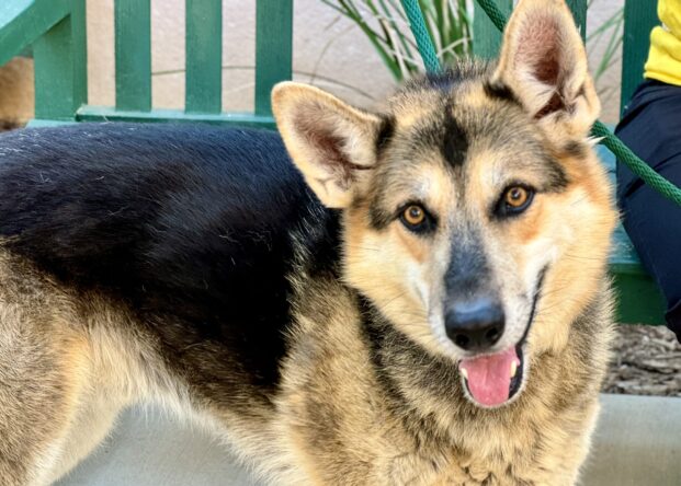 Max