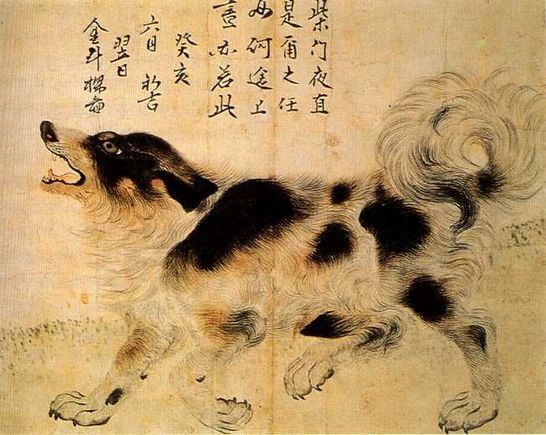 Legends Say this Ancient Korean Dog Can Fight Off Evil Spirits: Meet The Sapsali