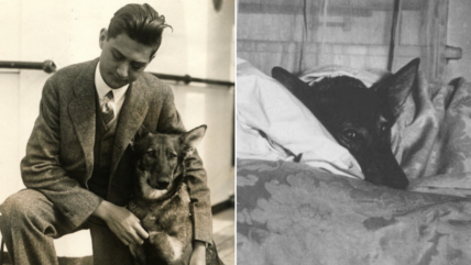 The 1st Guide Dog: How a German Shepherd Changed the Lives of the Visually Impaired