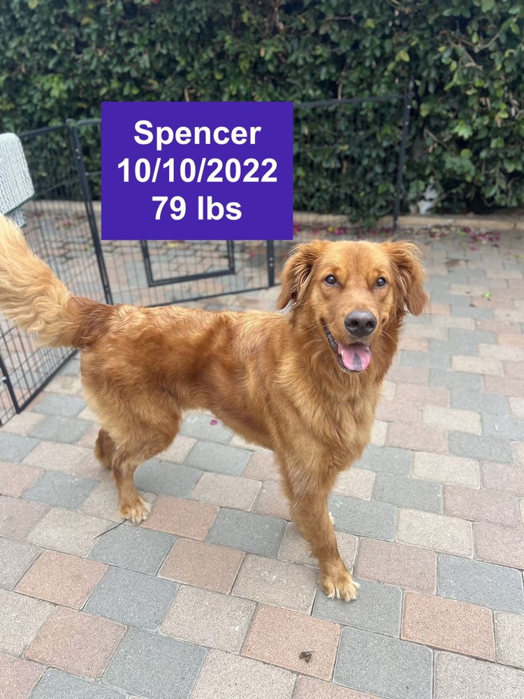 Spencer