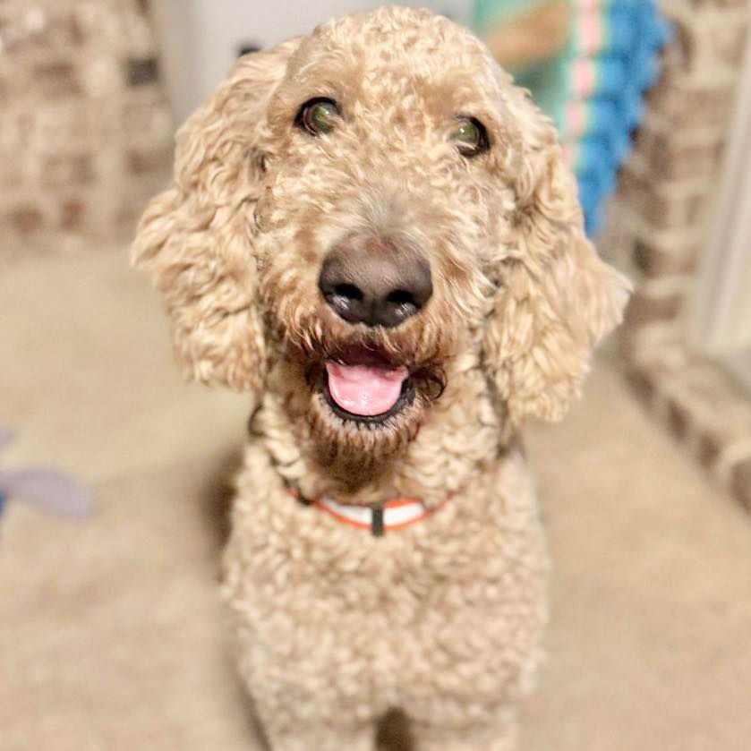 Milo