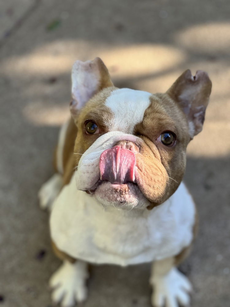 Duncan