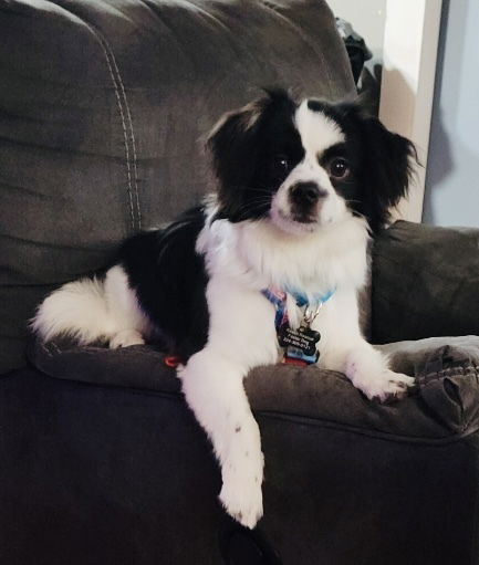 Zeus