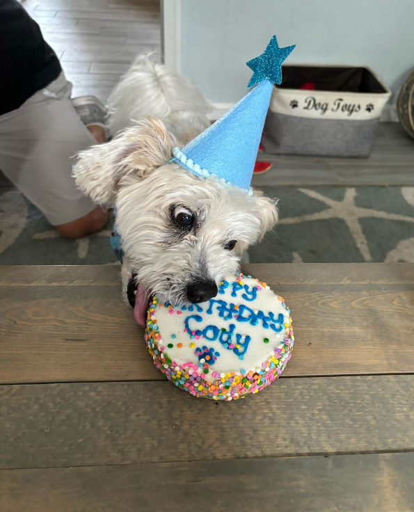 Barkday cake