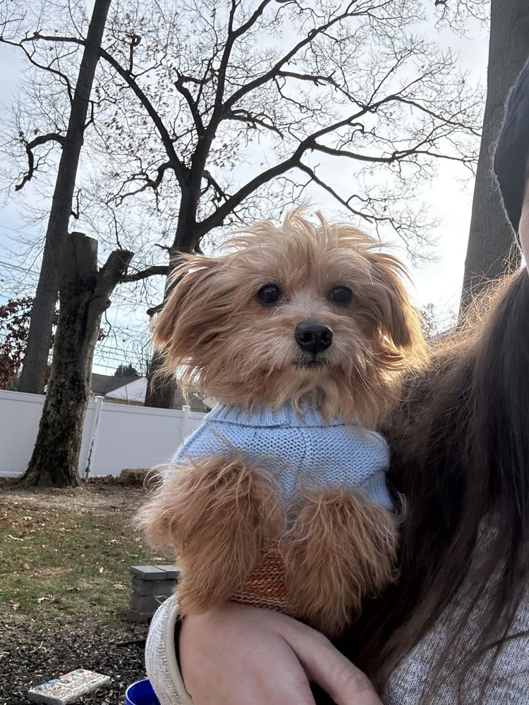 Tucker
