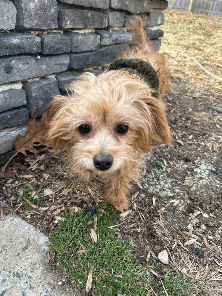 Tucker