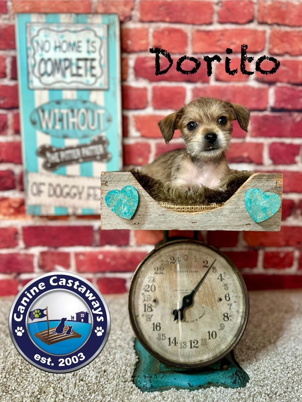 Dorito