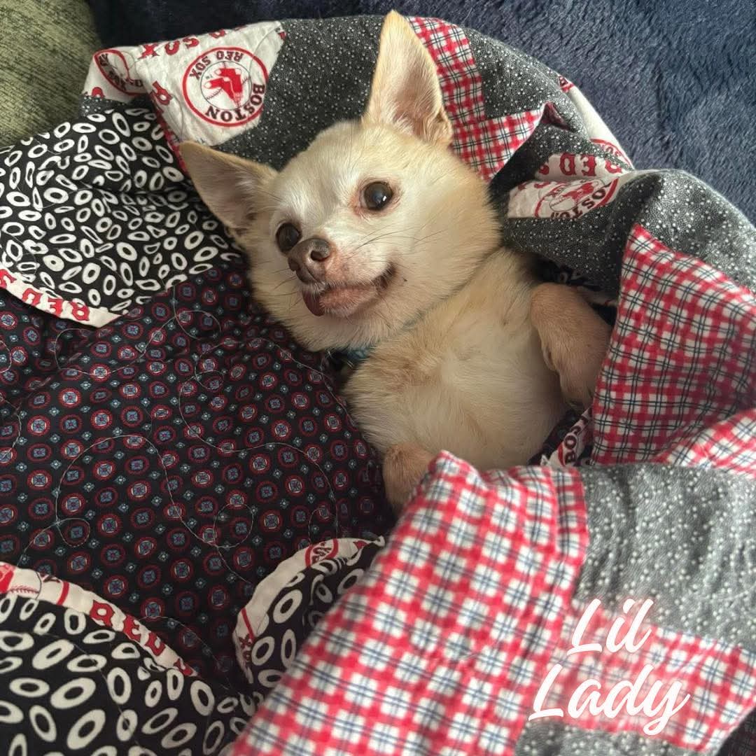 Lil Lady [bonded to Squeaky]