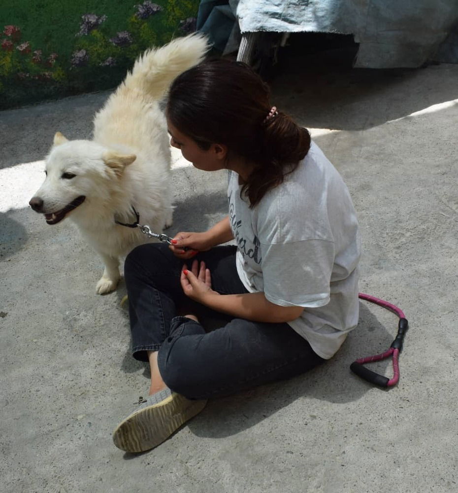WOOFY (Mid-East) yo