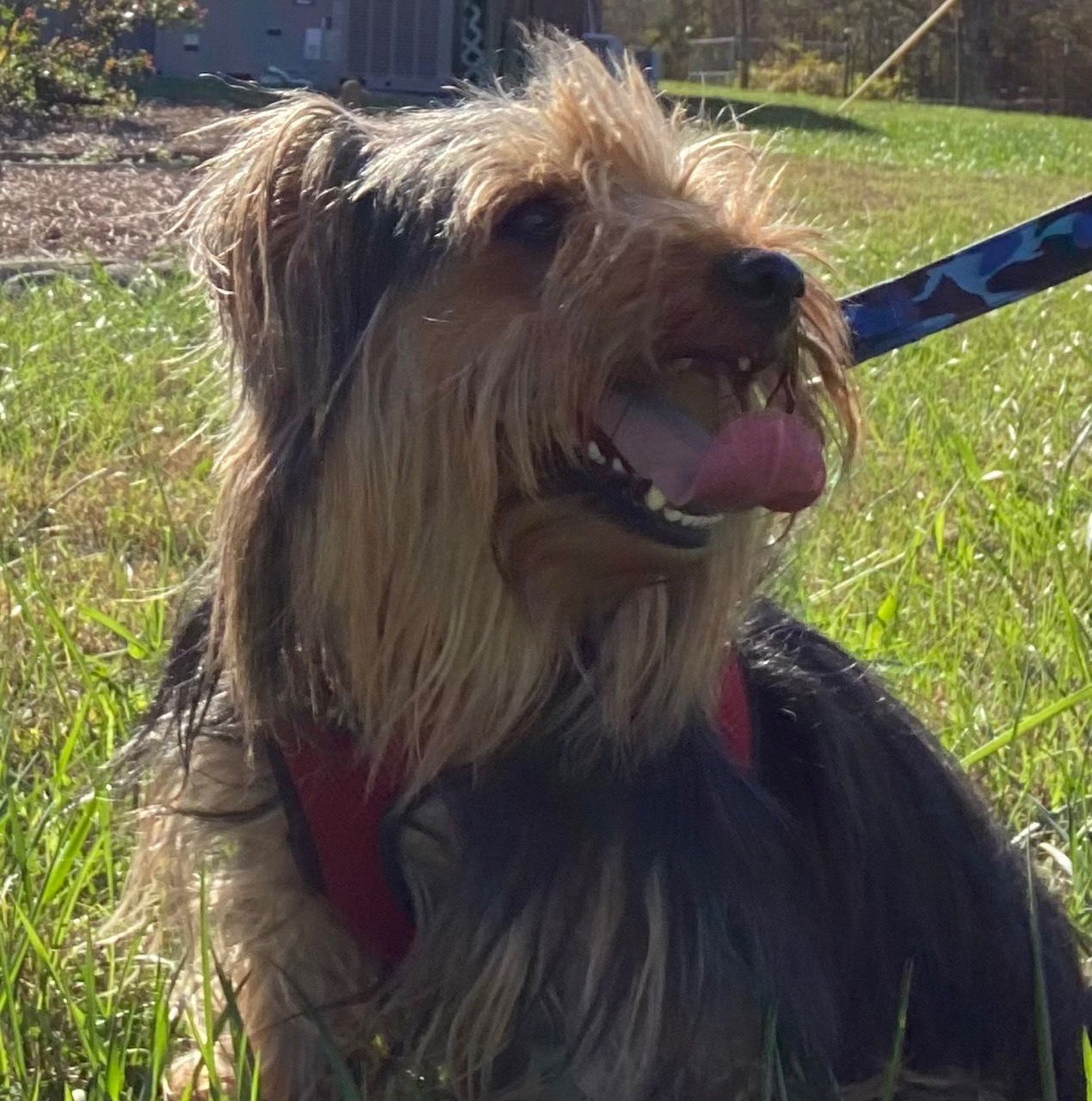Sprocket Nov 24