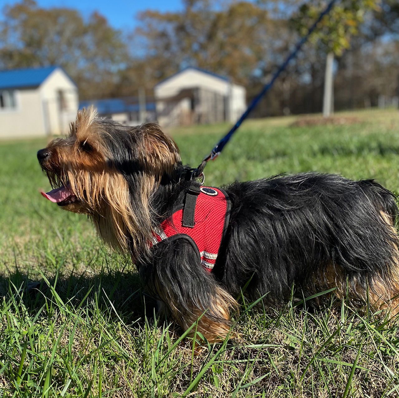 Sprocket Nov 24