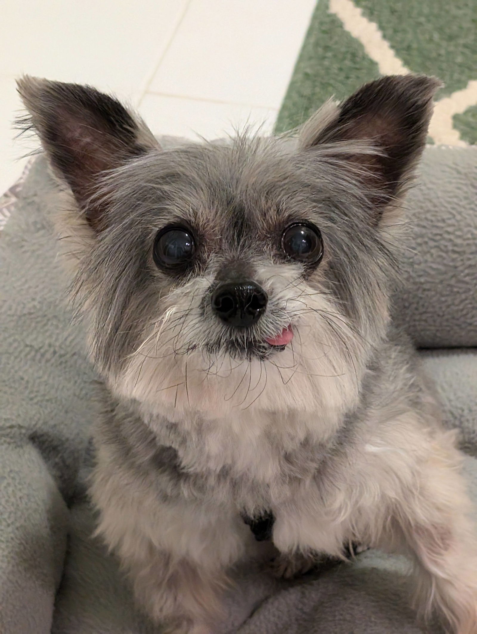 Oscar