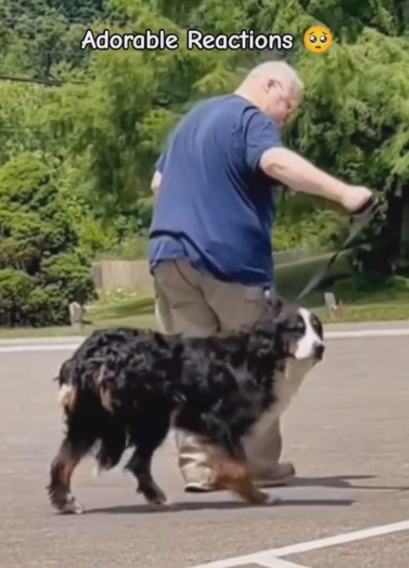 Shelter Dog's Joy Captured as Forever Family Takes Him Home