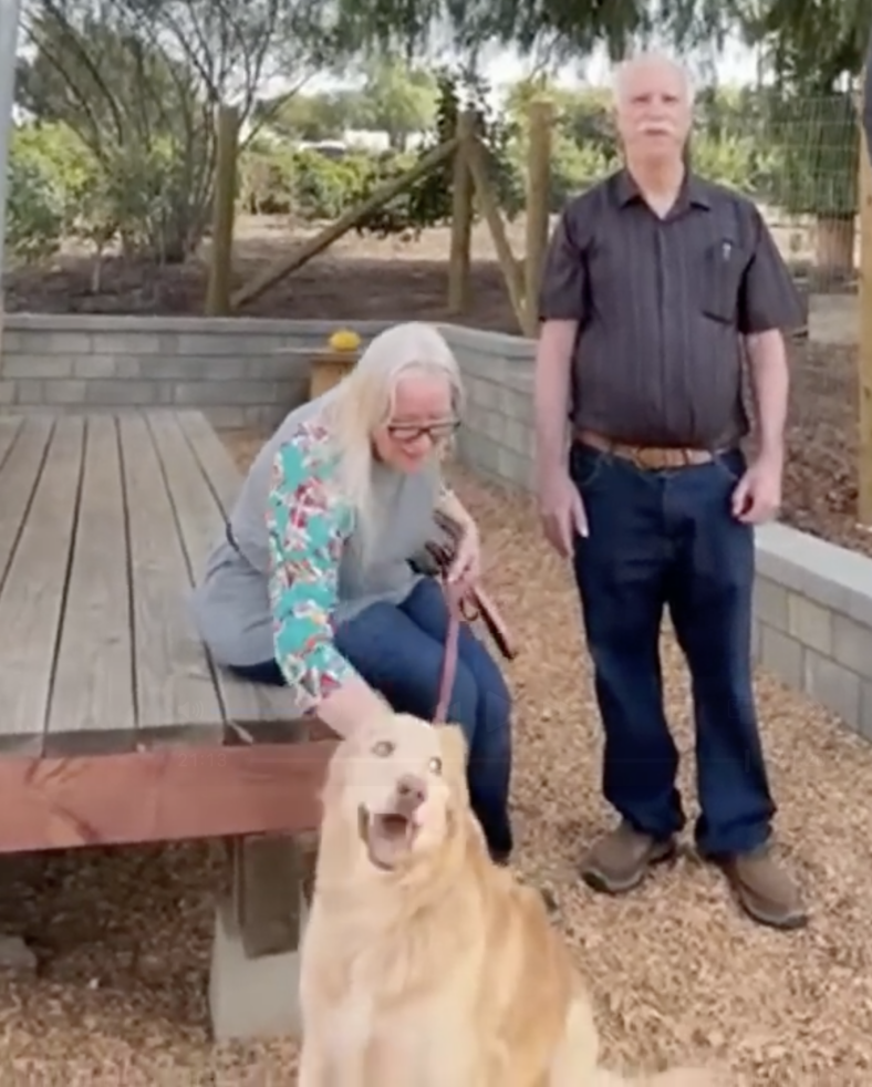This Shut-Down Shelter Dog Finally Found Her Forever Home—Wait Until You See Her Reaction!