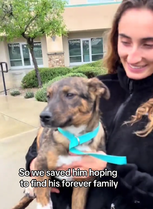 WATCH: Shelter Puppy's Last Day Turns Into Most Beautiful Beginning Ever!