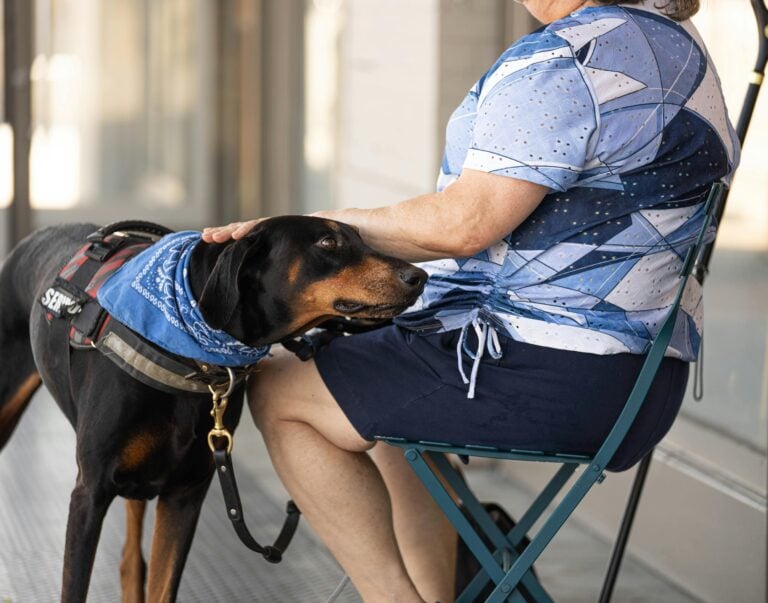 Allergen Detection Service Dogs 