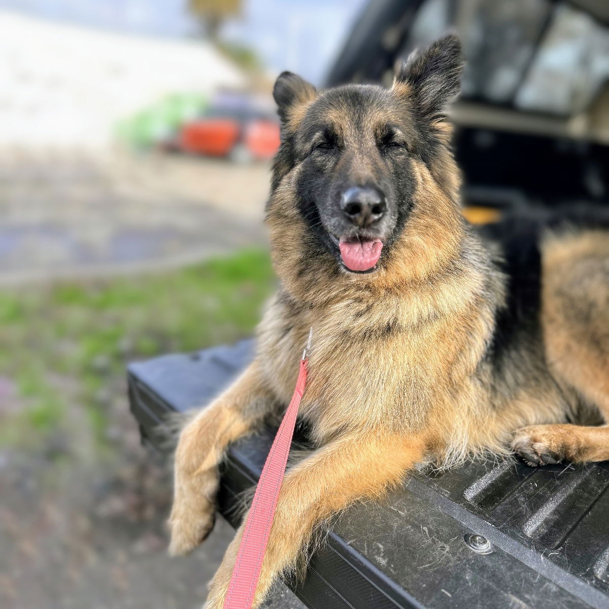 Kiko