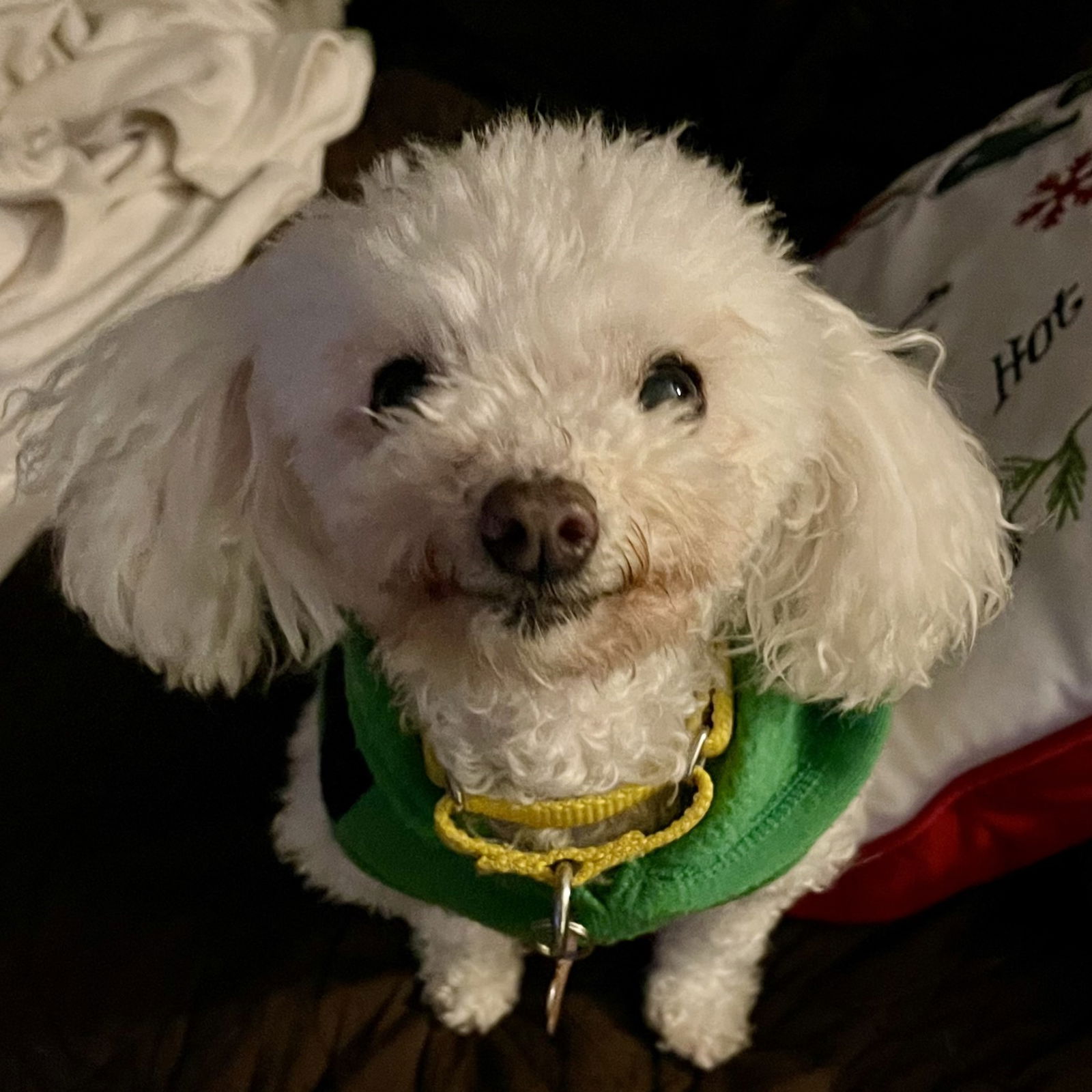 Ethel Muttz