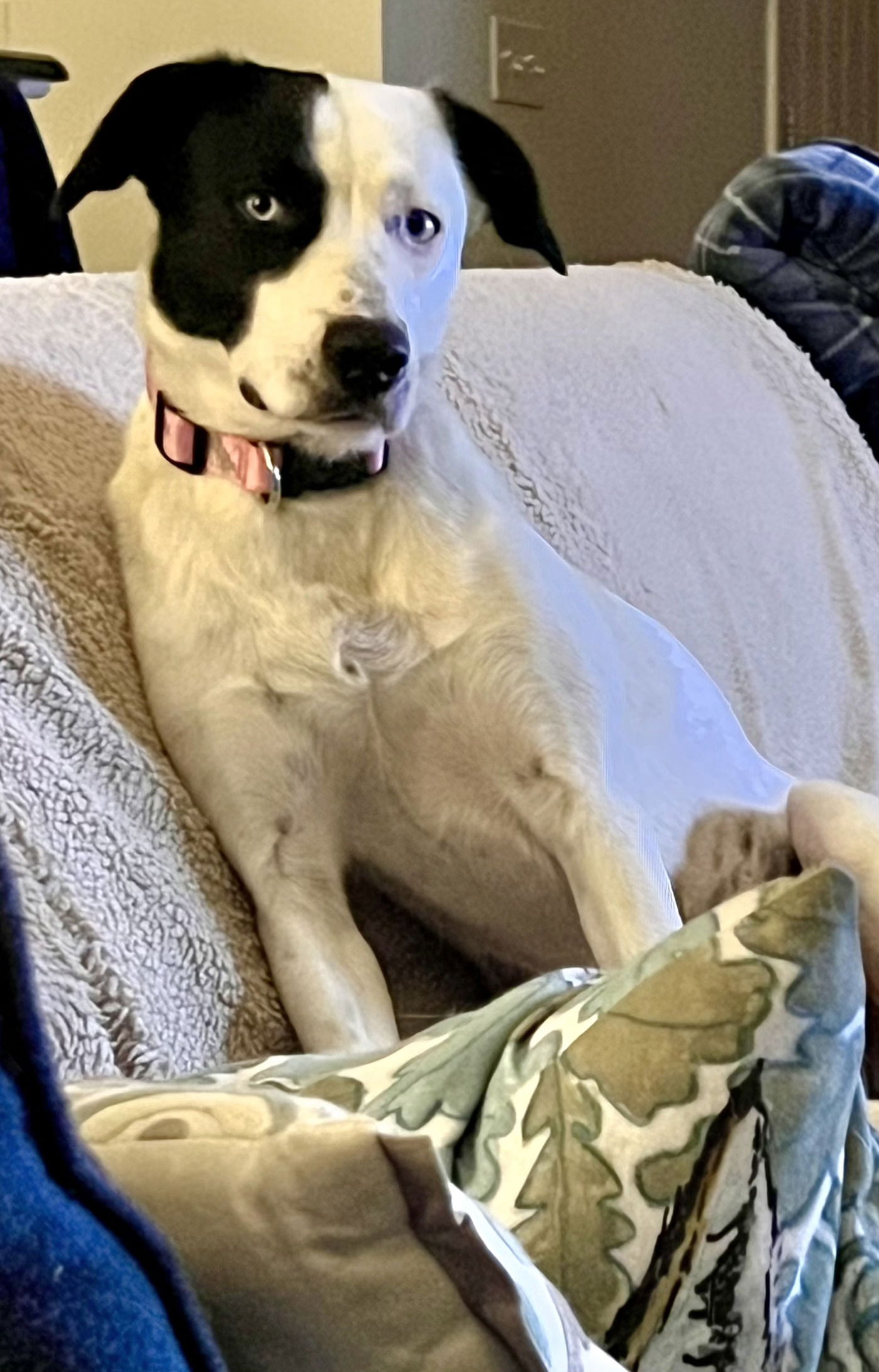 BLUE EYED KAYE AMAZING GIRL