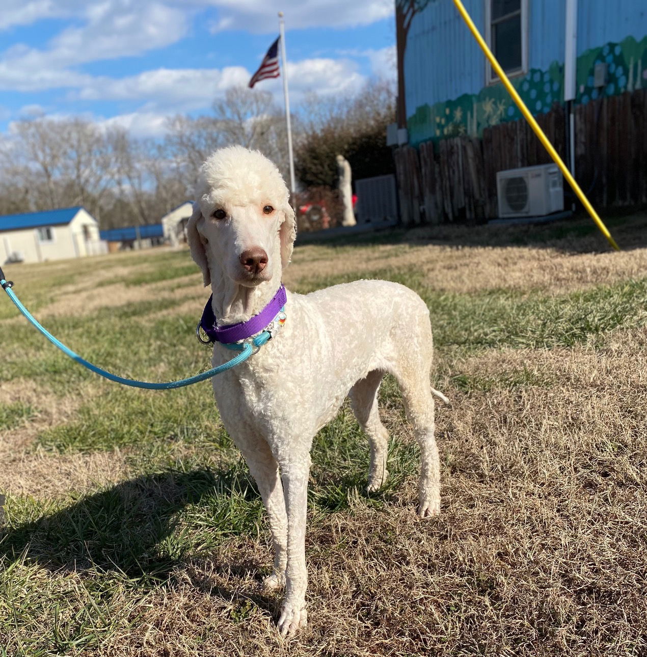 Rosie Jan 25