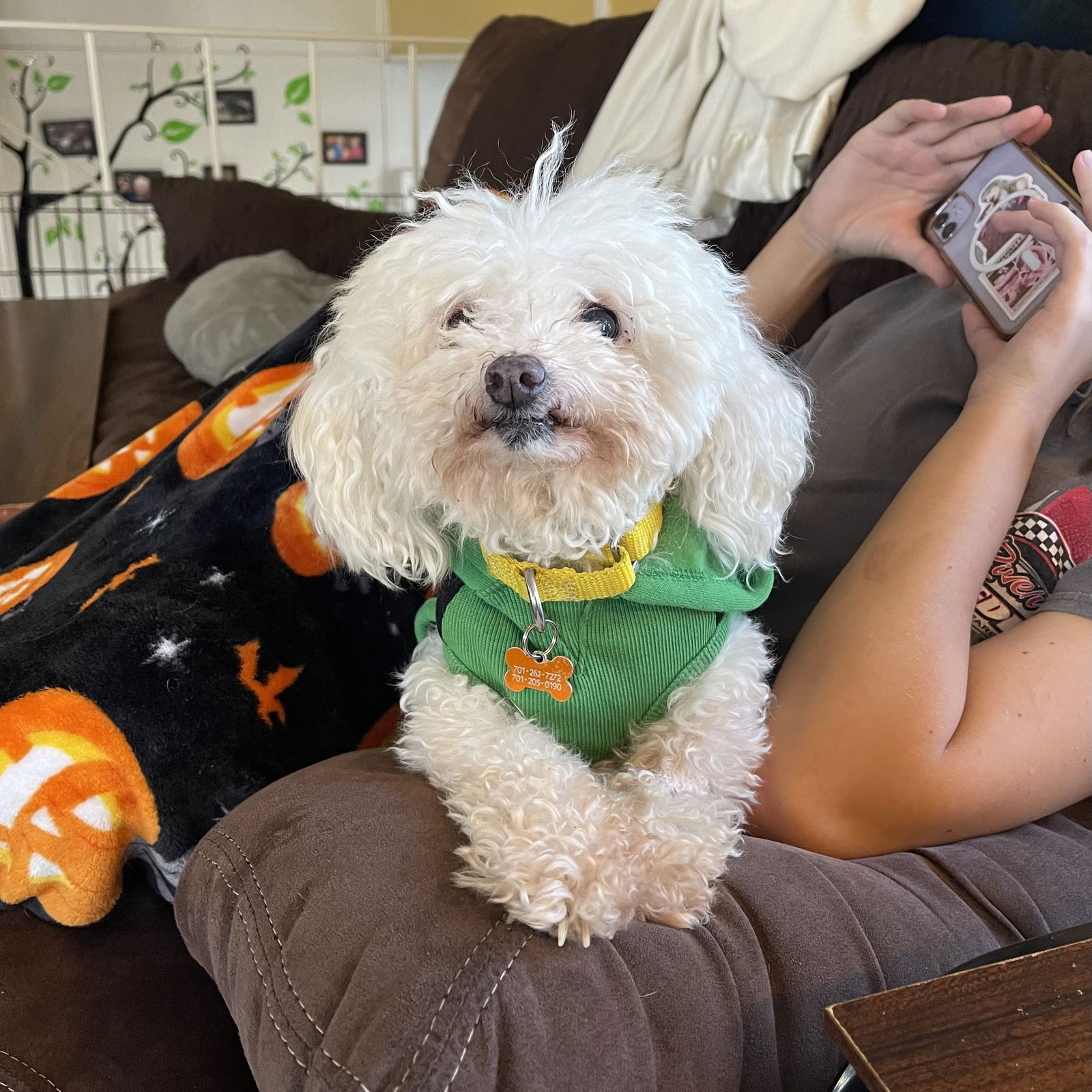 Ethel Muttz