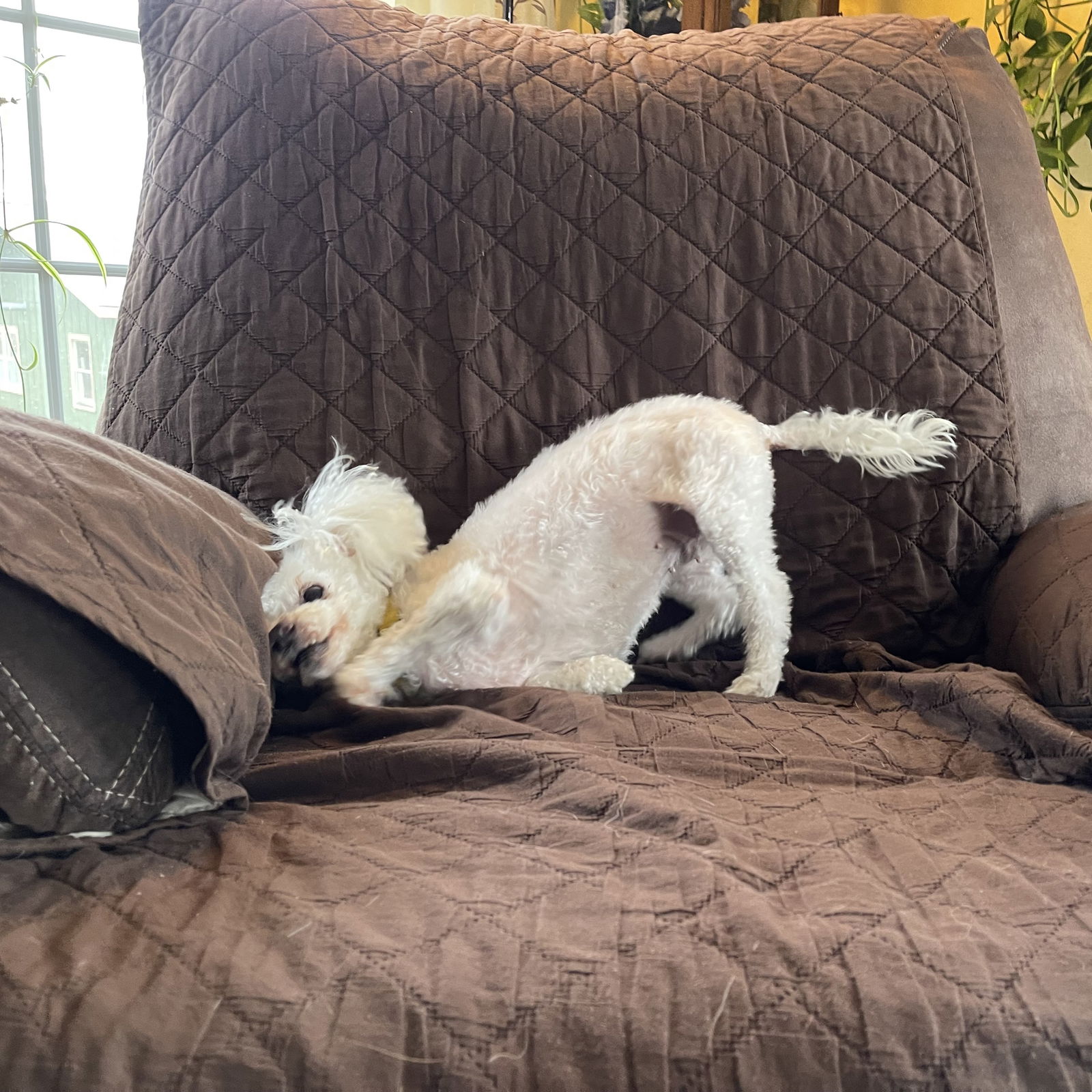 Ethel Muttz
