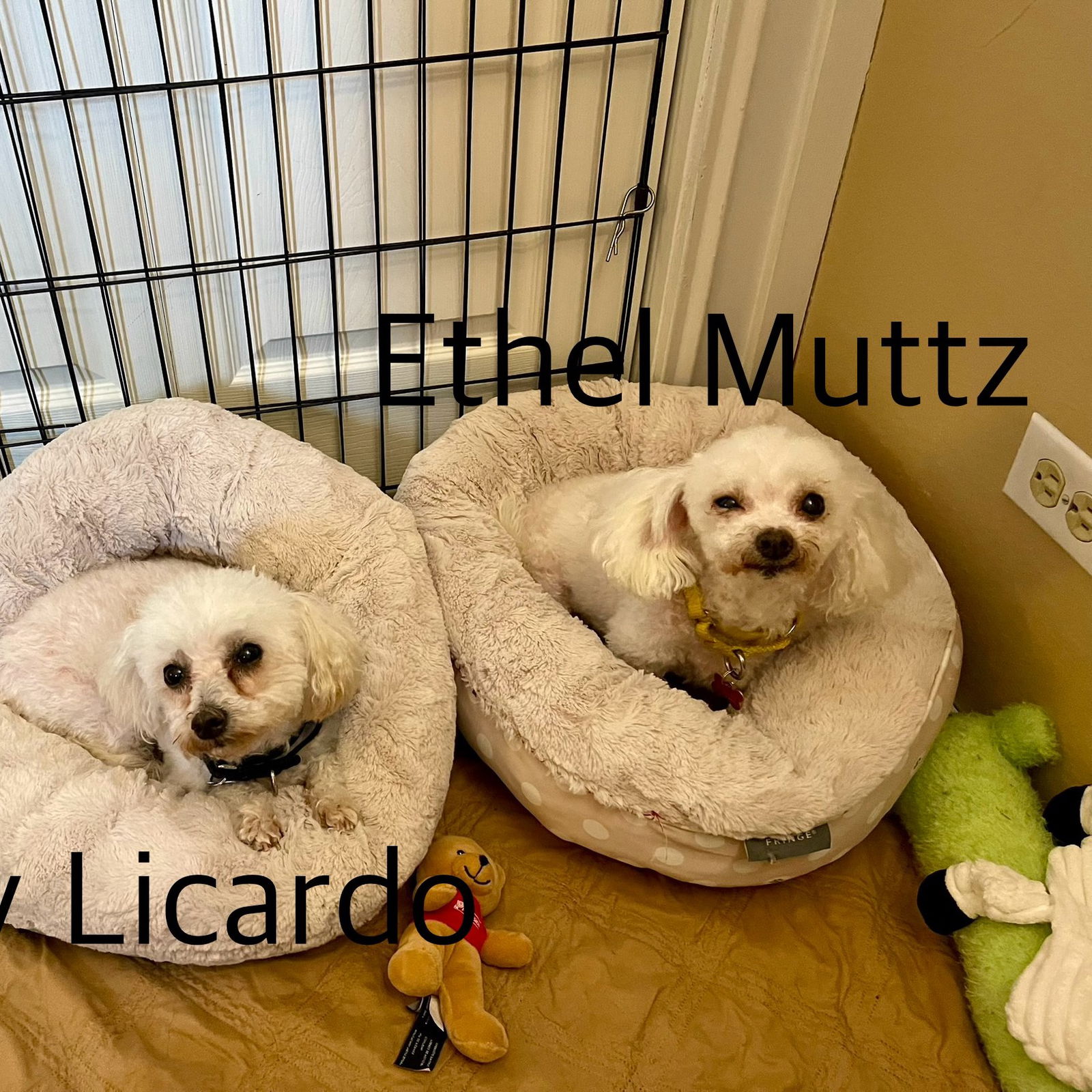 Ethel Muttz