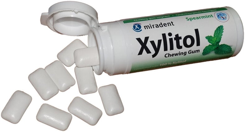 Xylitol Poisoning in Dogs 