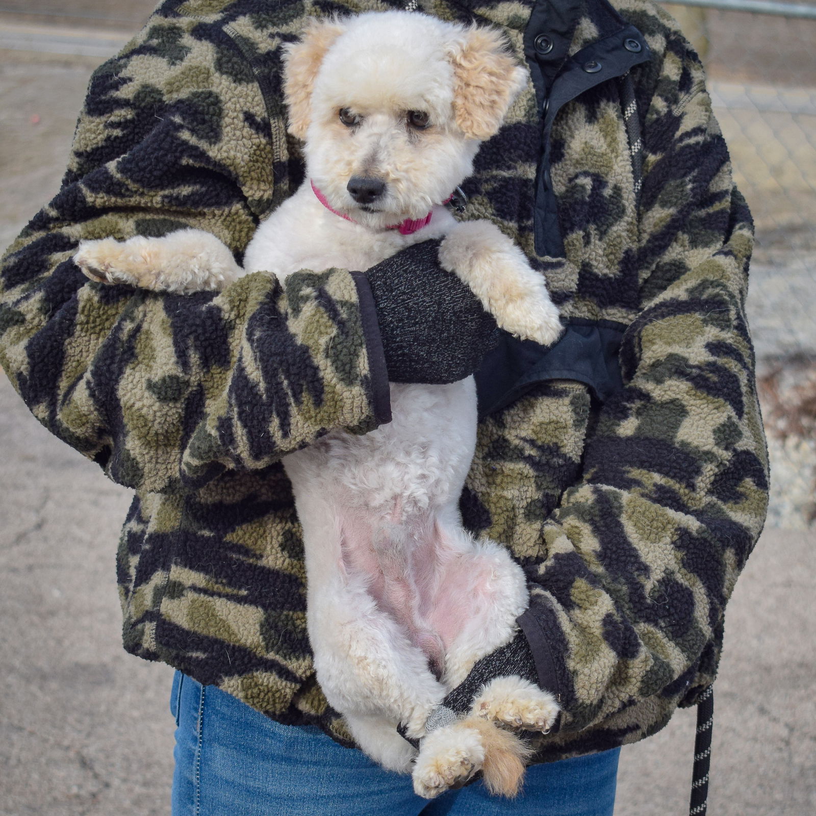 Snowball
