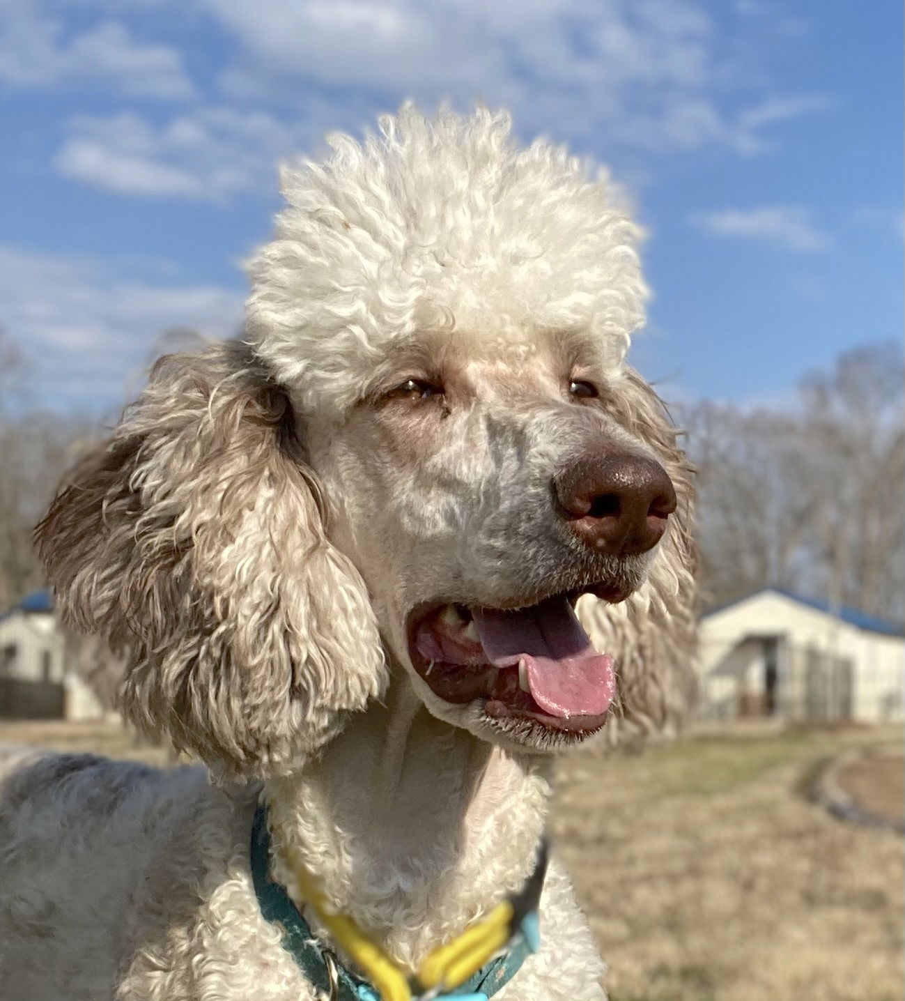 Luna Feb 25