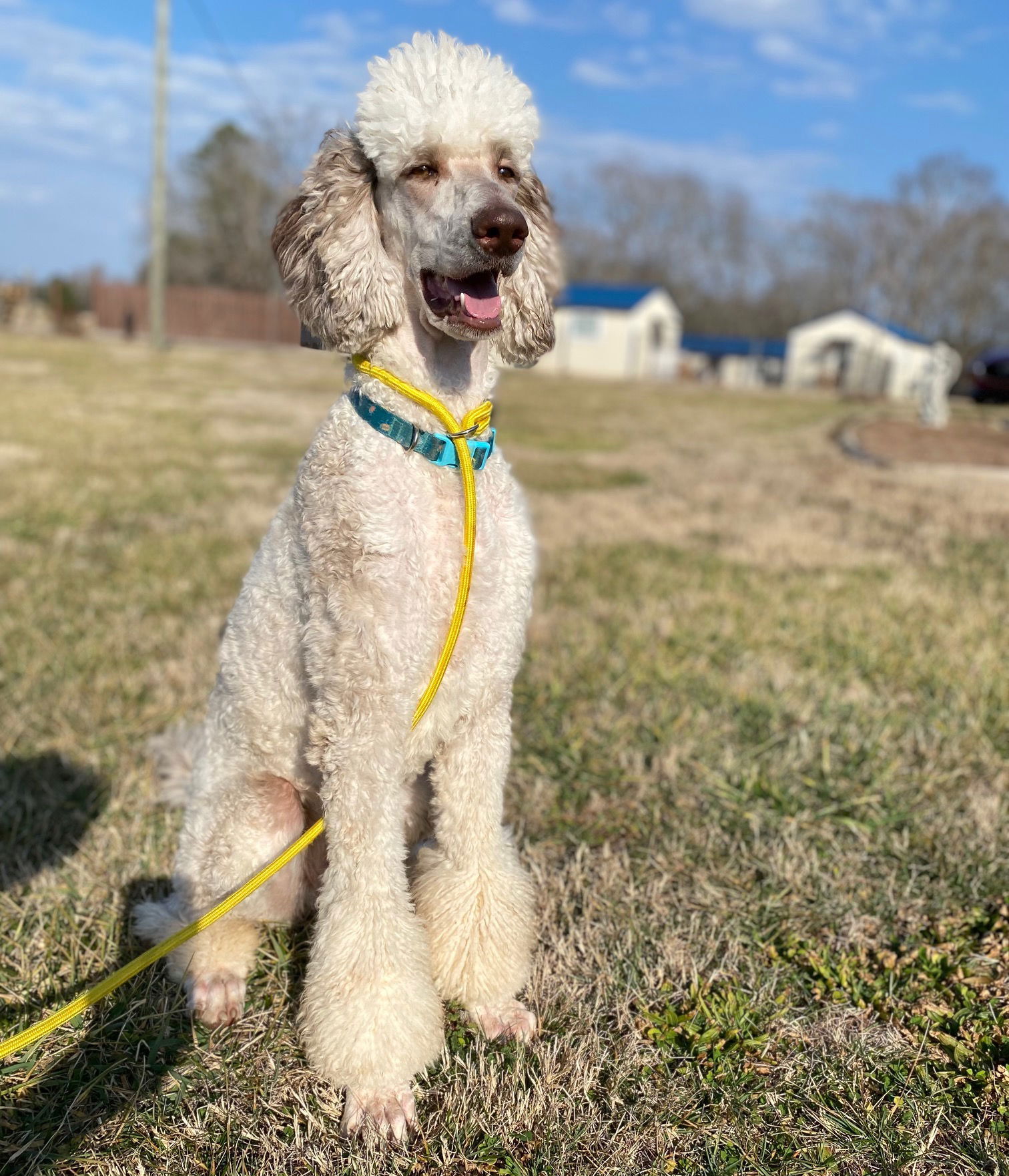 Luna Feb 25