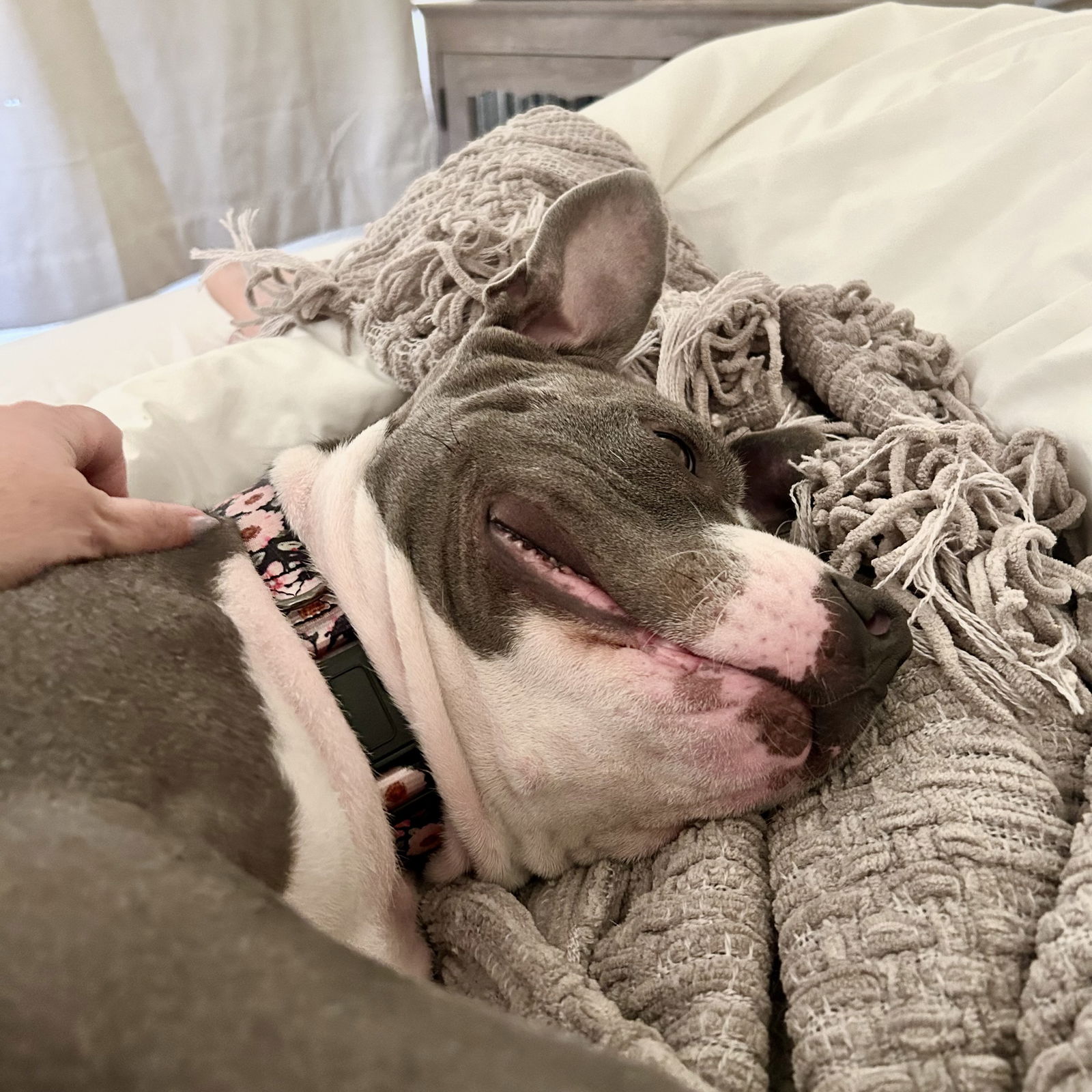 Delilah