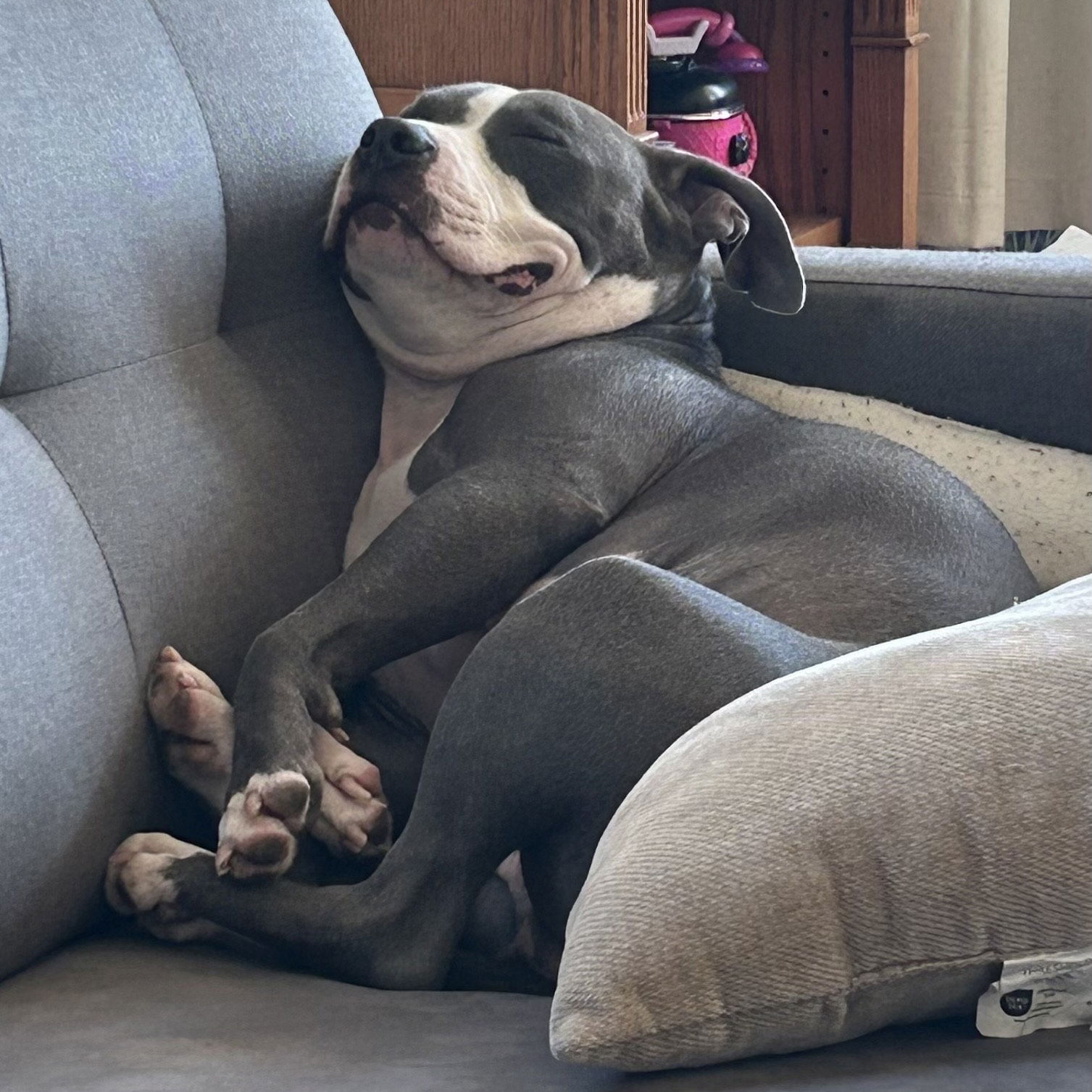 Delilah