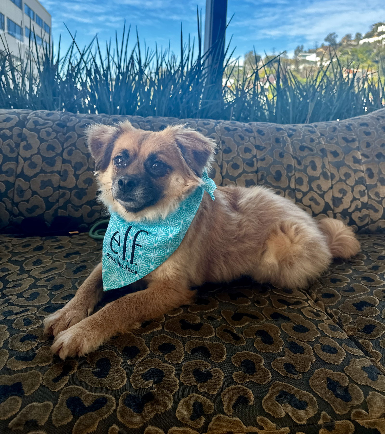 Trixie