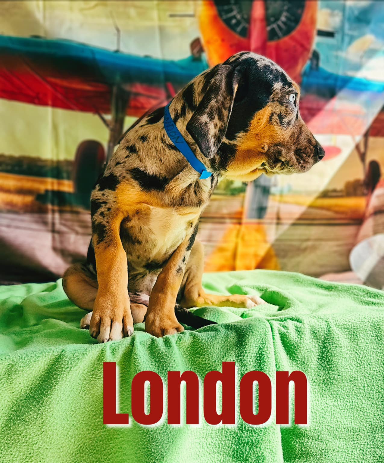 London