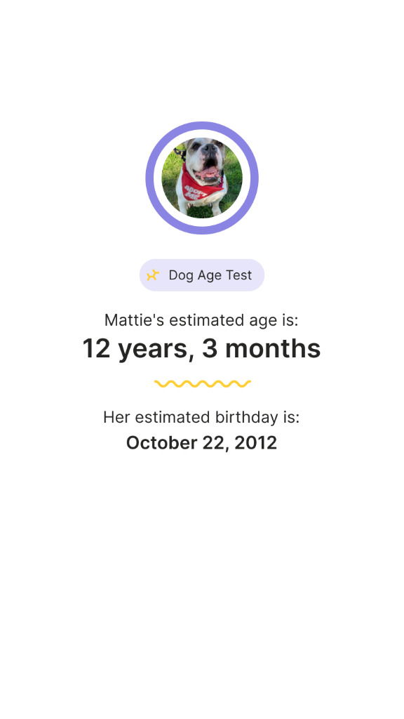 Mattie - Adopt Me!
